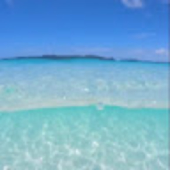 Meet your Posher, Linds - Picture 1 of 1